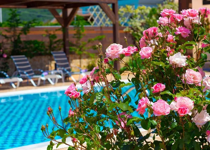 فيلة Sofia Halikounas