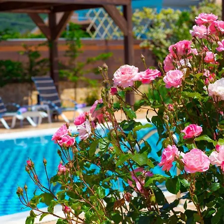 빌라 Sofia Halikounas