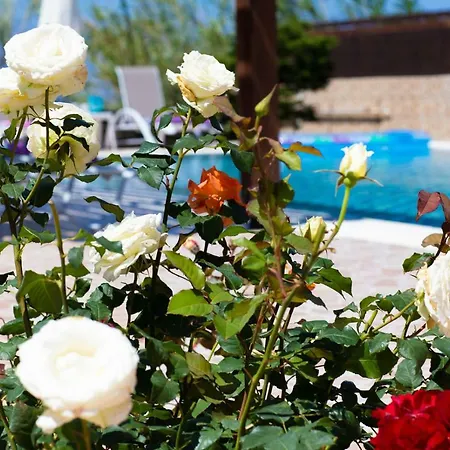 וילה Sofia Halikounas