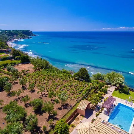 Sofia * Χαλικούνας