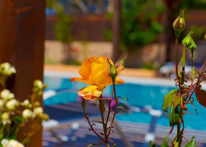 Villa Sofia Halikounas