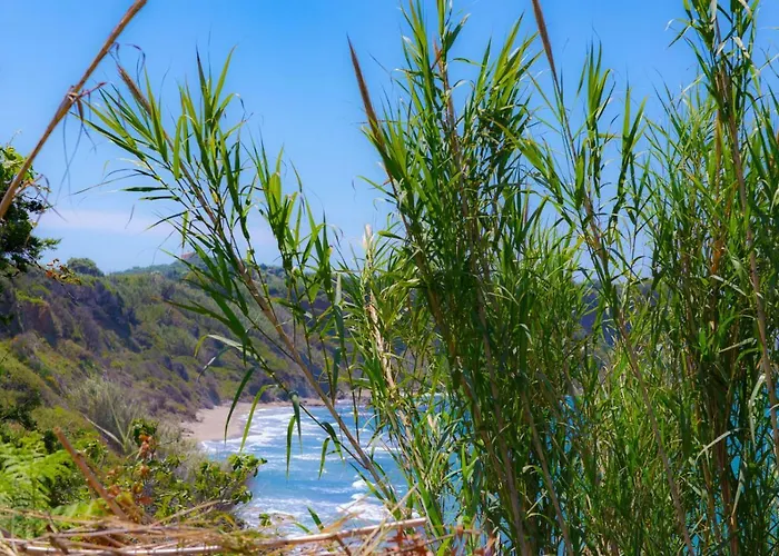 Sofia * Χαλικούνας