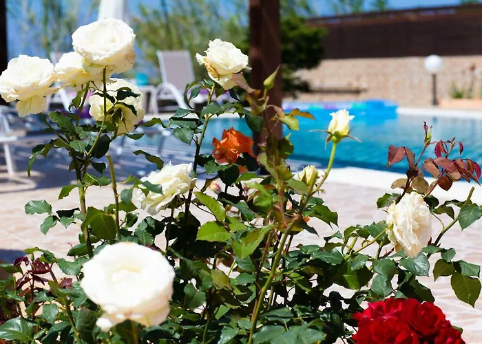 Villa Sofia Chalikounas